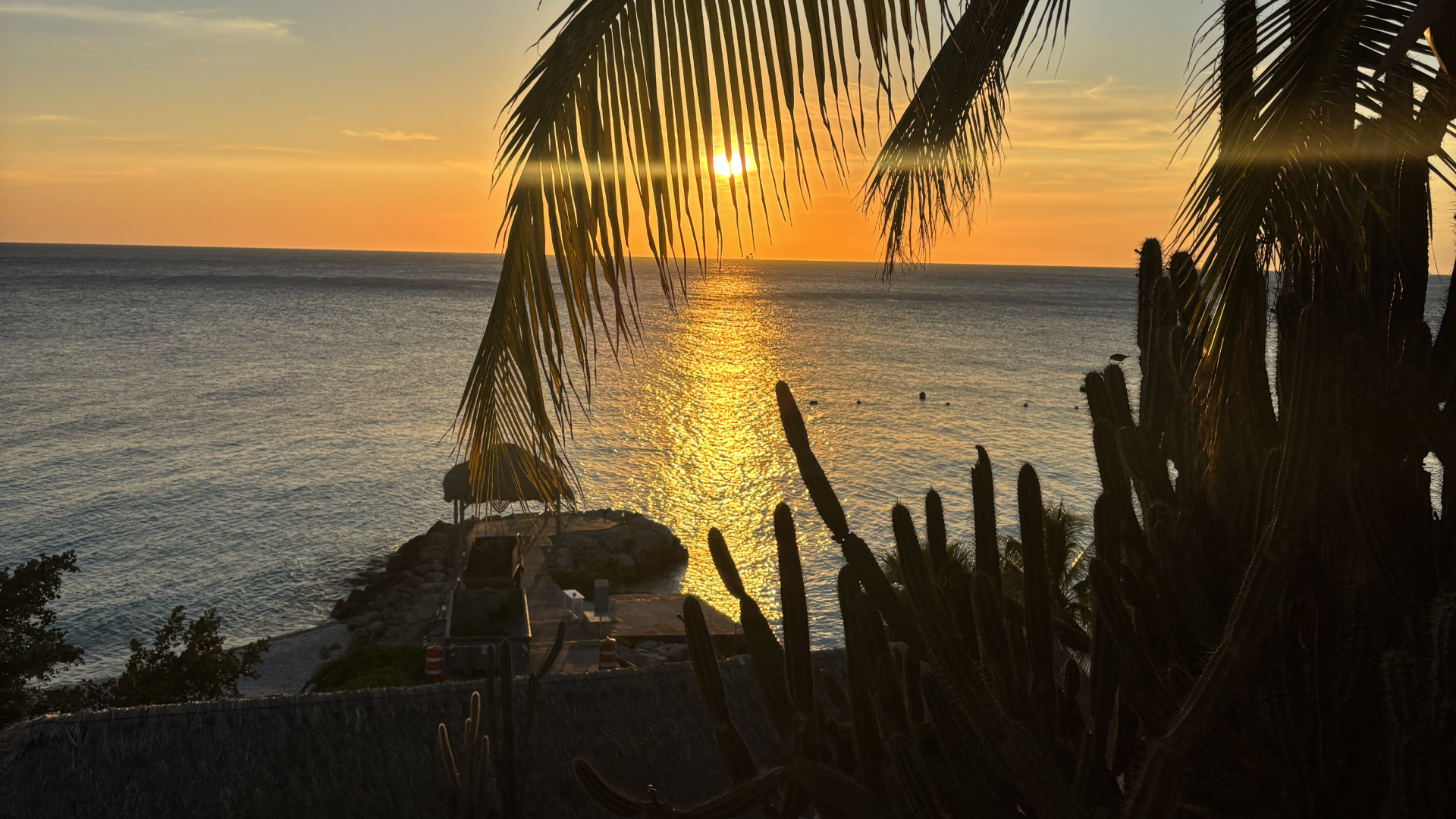 Coral Estate Luxury Resort