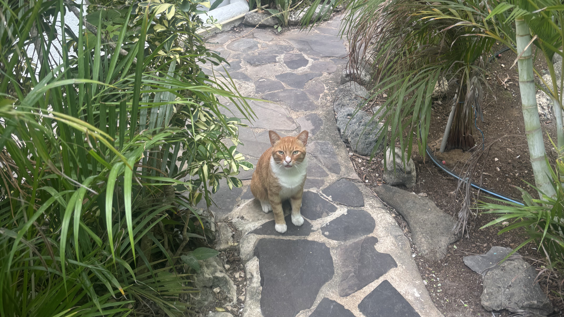 Pietermaai Boutique Hotel